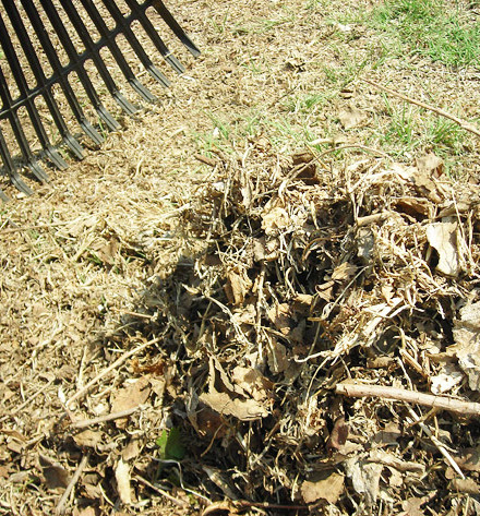 leaf-mulch2 leaf-mulch2