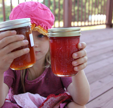 7blog jellies 7blog jellies