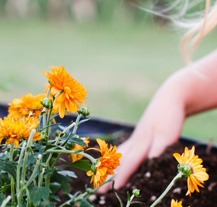 mums-blog-featured mums-blog-featured