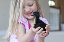 girl-holding-duckling girl-holding-duckling