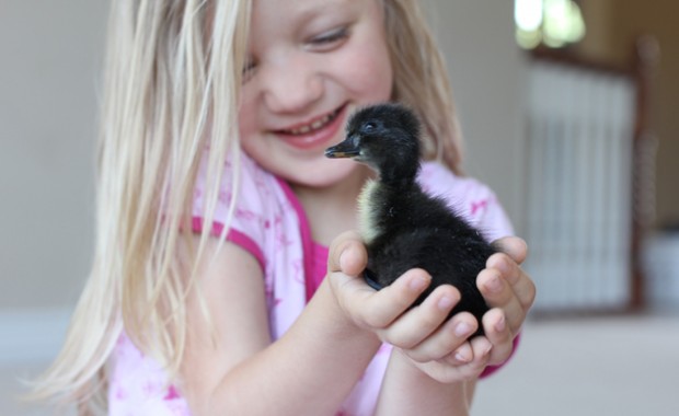 girl-holding-duckling
