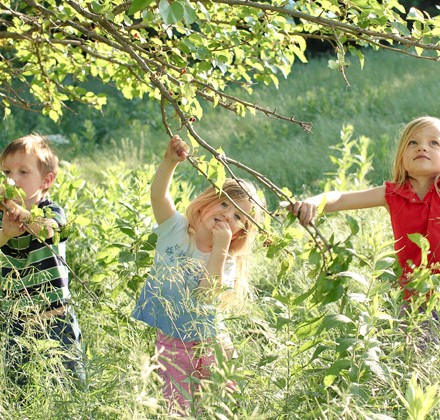 three-children-picking-mulberries kids picking mulberries