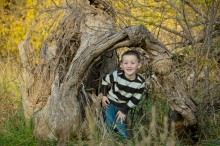 under-curved-tree